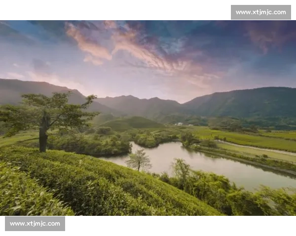 夜骑西湖:杭州青年的浪漫通勤美学