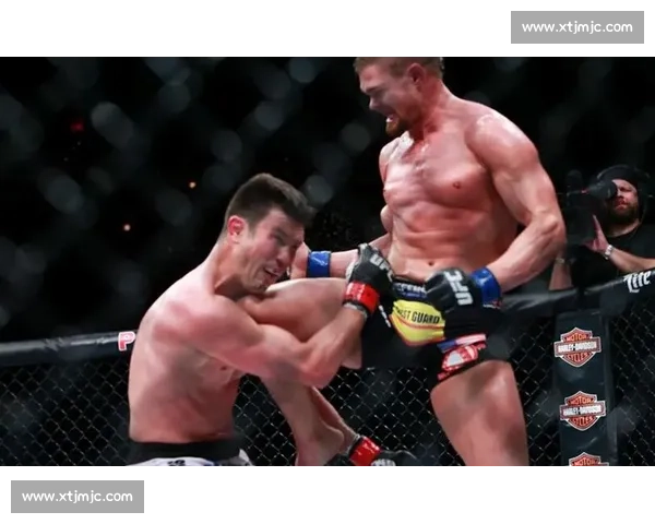 UFC 经典 KO 集锦:不容错过的终结瞬间_20260526125614